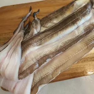 자연산 손질 특대 2kg 통영 바다장어