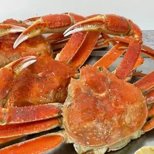 박달대게 자숙 마가단 1미 생활용품 생필품 취미용품 잡화
