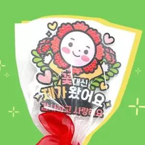 (TD) 꽃 대신 제가 왔어요 카네이션 보석십자수 토퍼