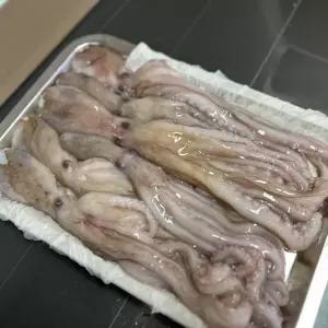 급냉 활 낙지 6미