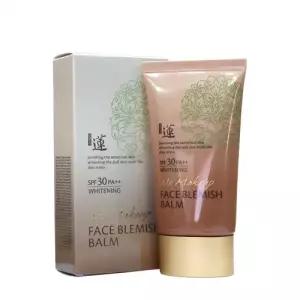 과일나라 본체청정 연 생안 블레미쉬 밤 50ml