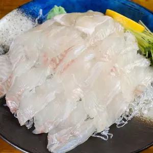 국내산 다시마 숙성 대광어회 400g
