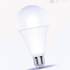 A19 LED 15W E26 색 백열 장수 벌브