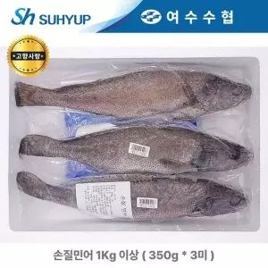 [수협중앙회][여수수협] 손질 민어 3미 1kg (350g3)