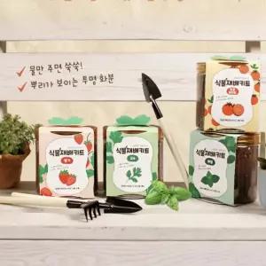 키트 grow 새싹 식용식물 이지그로우 식물 키우기 재배 easy 채소