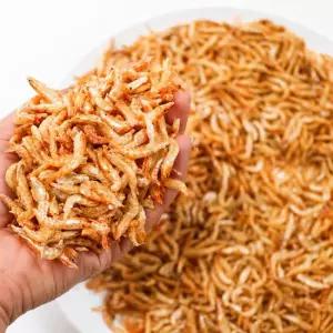 장인육수 비책 국산 보리새우 300g
