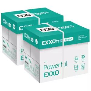 엑소트라 후레쉬(EXXOtra Fresh) A4 복사용지(A4용지) 75g 2BOX(5000매)
