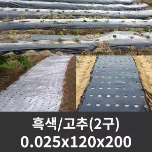 흑색 유공비닐 고추 0.025x120x200 2구