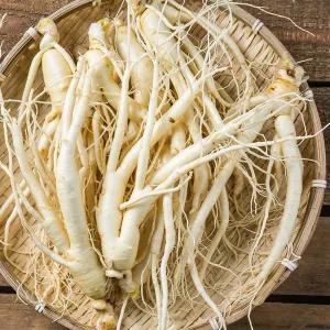 금산 인삼 세척 난발삼(중) 750g 한채수삼 삼계삼 담금주용 자뿌리 많은 진공포장 씻은 삼 세트 선물 국산