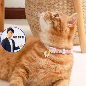 지금 필요한 고양이 방울 목걸이 꽃목줄 고양이하네스 귀여운 소형견 펫패션