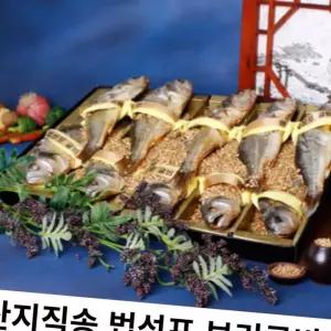 (올핀)영광 법성포 보리굴비 특대 선물세트 10마리