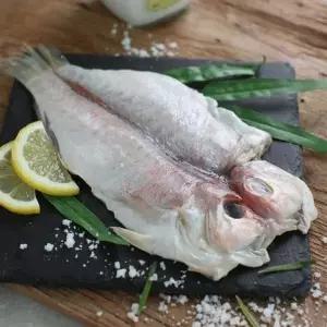 [올래밥상]제주 자연산 옥돔 특대 2미/미당 290-350g