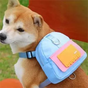 배낭 반려동물 등가방 소형견 강아지산책 가방 산책 용품 일체형 하네스 가슴 백팩 리드