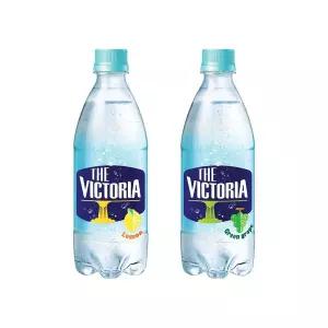 빅토리아 탄산 레몬 청포도 탄산음료 500ml 20개+20개 총2박스