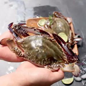 싱싱한 국내산 알배기 급냉 암꽃게 1kg 중대 사이즈
