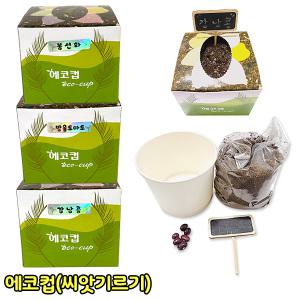 에코컵 씨앗키우기 새싹키우기 재배키트 새싹 강낭콩 봉선화 방울토마토 화분 관찰 탐구 재배기 과학교재