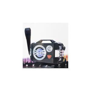 블루투스 MK1516 효도라디오 마이크 리모컨 USB노래