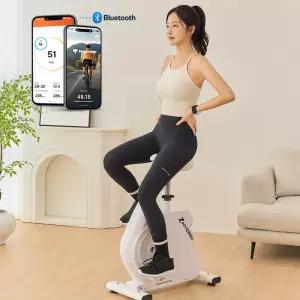 은성헬스빌 지브리드 Zhybrid ERG 리모컨형 실내자전거 사이클 미니 바이크 입식 좌식 하이브리드