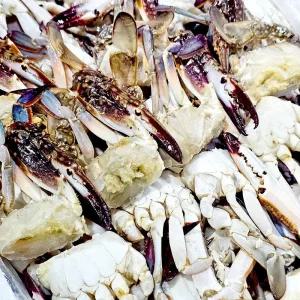 한그슥 국내산 손질 숫꽃게 중(1kg 16쪽내외) 10kg 냉동 절단 꽃게