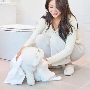 [순둥이] 펫 타월 M 40매 1팩 /생분해 강아지 고양이 수건[35865303]