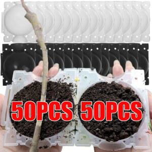 텃밭 울타리 50pcs 식물 뿌리 번식 키트 압력 접목 성장 정원 상자 가든 액세서리
