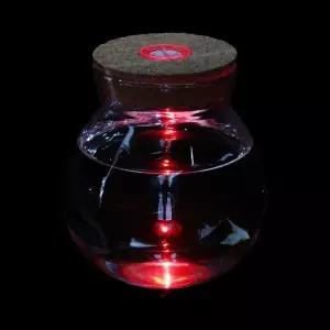 [하프클럽/알티피아]마리모 키우기 LED 코르크 유리병 (12x13cm)