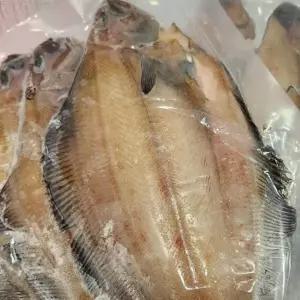 반건조 생선 국내산 손질 기름가자미 5미 가자미 반건조생선 수앤서C