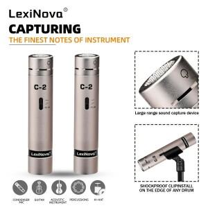 LexiNova 2-C 소형 다이어프램 펜슬 콘덴서 마이크 전문 녹음 무대 공연용 스위치 포함 악기