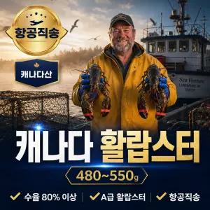 캐나다 수율 80%이상 활랍스터 크레이피쉬 바닷가재 480g~550g
