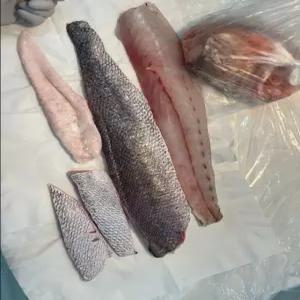민어회 민어 한마리 필렛 부레 자연산, 3kg 오로시(필렛)
