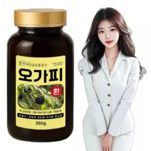 오가피환 250g 기념일 여자 선물 건강선물 건강환 장인어른 환제품 칠순
