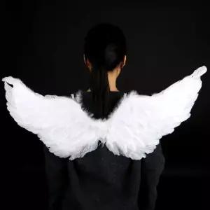 파티 프레 튬 천사날개 중 아무 요정 할로윈분장