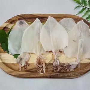 한치 반건조 5미 햇한치 피데기 마른한치 구이 회 안주