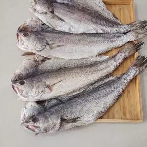 국내산 반건조 민어 4미 민어 건어물 구이용 찜 조림 생선