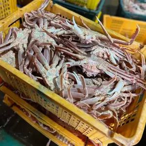 러시아 대게 3kg A급 자숙대게 냉동 대게찜 게 대게