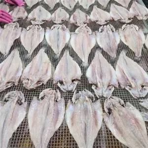 반건조 민어 5미 건조민어 민어포 구이 조림 제수용