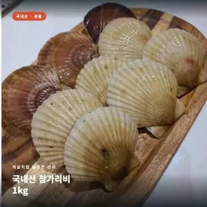 국내산 참가리비 1kg 가리비 참가리비 조개 구이 찜 관자