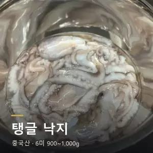낙지 1kg 통낙지 세발낙지 낙지볶음 연포탕 손질 냉동