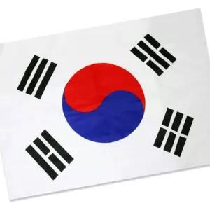 국기 월드컵응원 응용용품 게양용태극기90x135cm 월드컵