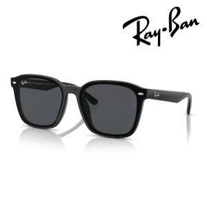 Ray-Ban Rayban 선글라스 RB4392D 60187 66mm 큰 사이즈 블랙 자외선 UV 컷 보증서 첨부