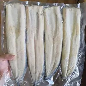 풍천장어 고창 초벌 1kg 민물장어 장어구이 소금구이 양념장어