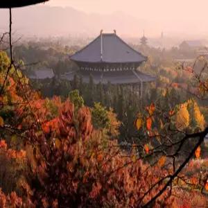 부산[시내호텔/온천호텔][유니버셜 스튜디오OR교토관광][온천욕1회X사슴공원X도톤보리]오사카 4일
