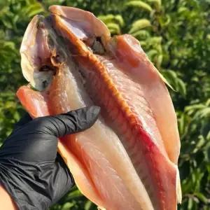 원물 2kg 반건조 민어조기 4마리 대짜 국내가공