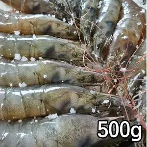 누리웰 신안 흰다리 생새우 500g/국내산 활새우