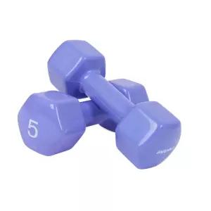 아이워너 육각 덤벨 아령 5kg 블루베리 2개 팔 근력운동 재활 다이어트 요가 필라테스
