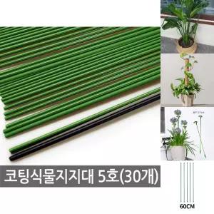 (5호 30개) 식물 지지대/원예용품/꽃받침대/꽃지지대/지지대왕/분재/일자/텃밭/농사/화분/고정/지주대/채소