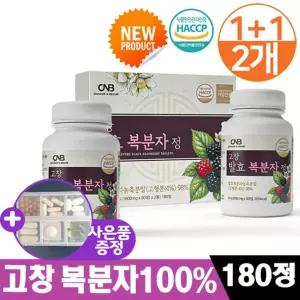 복분자 고창 발효 100% 국내산 농축 복분자환 농축액 건강 분말 가루 김치유산균 90정 2통