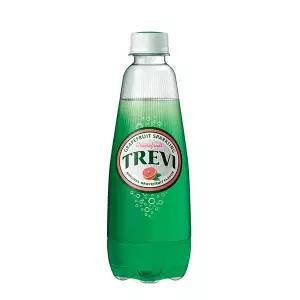 [롯데백화점]롯데칠성음료 트레비 자몽 300ml 20개