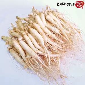[대명이네 인삼농장](세척) 소 삼계삼 50-60뿌리내외 750g/인삼 수삼 주스용 튀김용 삼계탕용