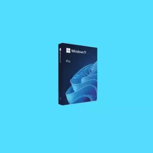 [정품인증점] MS 윈도우11 프로 FPP 처음사용자용 영구제품키 USB / Windows 11 Pro 64bit 처음사용자용 한글